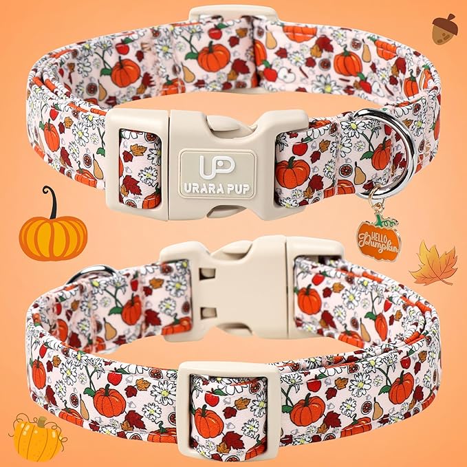 Fall Dog Collar – Halloween Dog Collars-Adjustable Pumpkin & Daisy Floral Collar with Quick Release, Autumn Harvest Dogs Collars