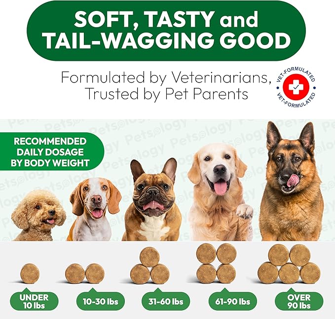 Flea and Tick Prevention for Dogs Pills - Natural Dog Flea & Tick Control - 170 Soft Chewables - Oral Defense Treatment for Dogs Supplement - Vet Formulated Chews - All Breeds & Ages - Made in USA