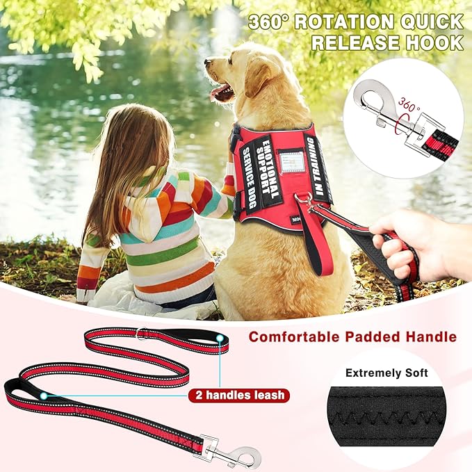 Service Dog Vest Harness and Leash Set+10 Patches,No Pull&Adjustable Reflective Dog Harness with Soft Padded Handle for Training/Everyday,Fit Small/Medium/Large/Extra-Large Dogs (Red S)