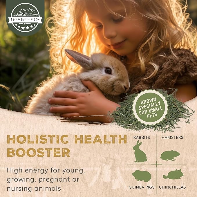 40lb Farm Fresh, USA Grown, Organic Alfalfa Hay for Rabbits, Guinea Pigs, Chinchillas, Goats, Hamsters & Ferrets - Small Animal Food Rich in Protein & Fiber - Just Dried, Hand-Selected