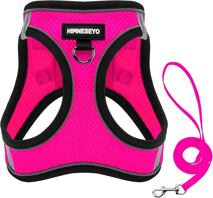 Dog Harness and Leash Set, Dog Harness for Dogs No Pull, No-Chock Step-in Reflective Breathable Lightweight Easy Walk Vest Harnesses with Safety Buckle for Small Medium Dogs, Cats (Rose red, XL)