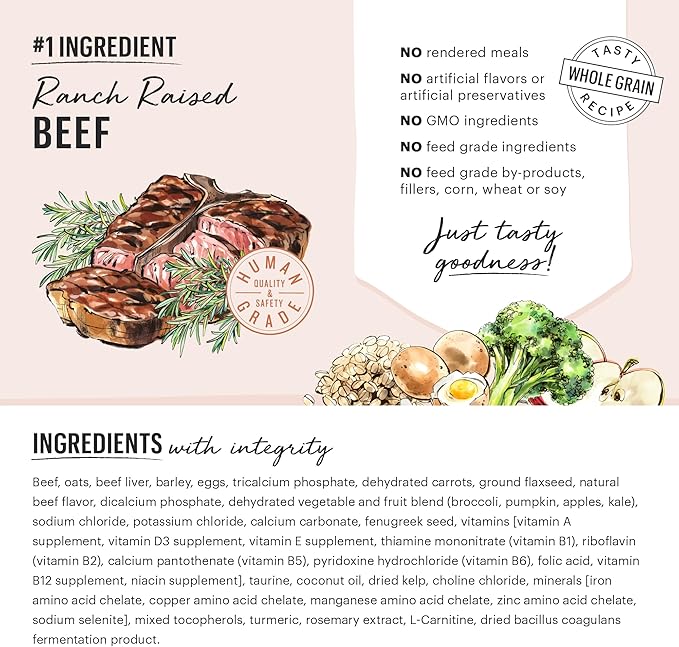The Honest Kitchen Human Grade Whole Food Clusters Whole Grain Beef & Oat Dry Dog Food, 5 lb Bag