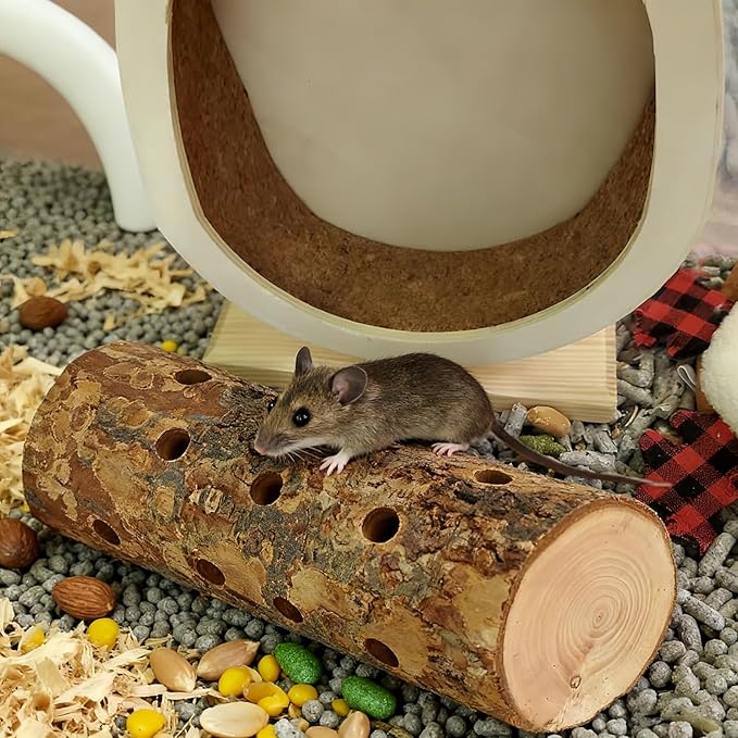 Wood Chew Toys for Small Animals - Natural Molar Wood Treats for Rabbits, Hamsters, Guinea Pigs, Chinchillas & Other Pet Rodents