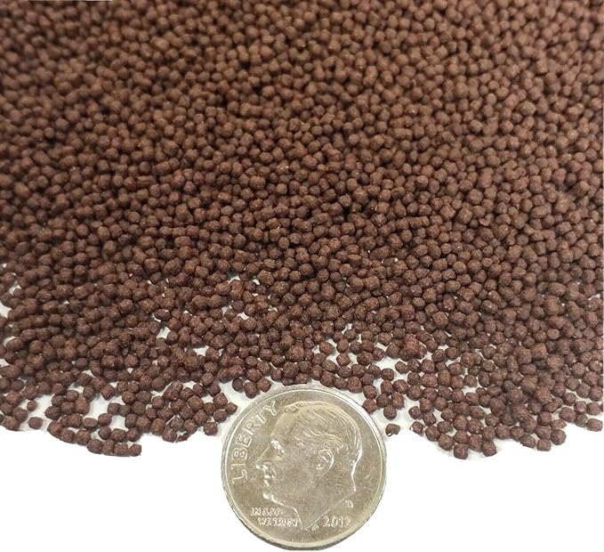 Aquatic Foods Inc. 0.8mm Floating Blackworm Pellets with Color Enhancers & Vitamins for Discus, Cichlids, All Tropicals, Koi and Pond Fish…8oz Small Jar