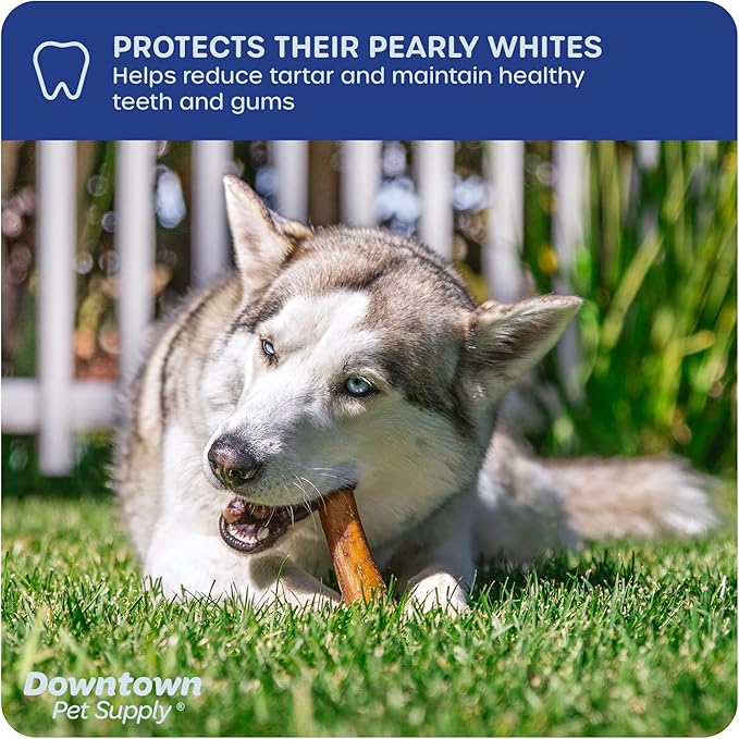 Downtown Pet Supply USA-Made 6", 3 Lb. Jumbo Bully Sticks for Large Dogs - Rawhide Free Dog Chews Long Lasting and Non-Splintering - Single Ingredient, Low Odor Bully Sticks for Medium Dogs