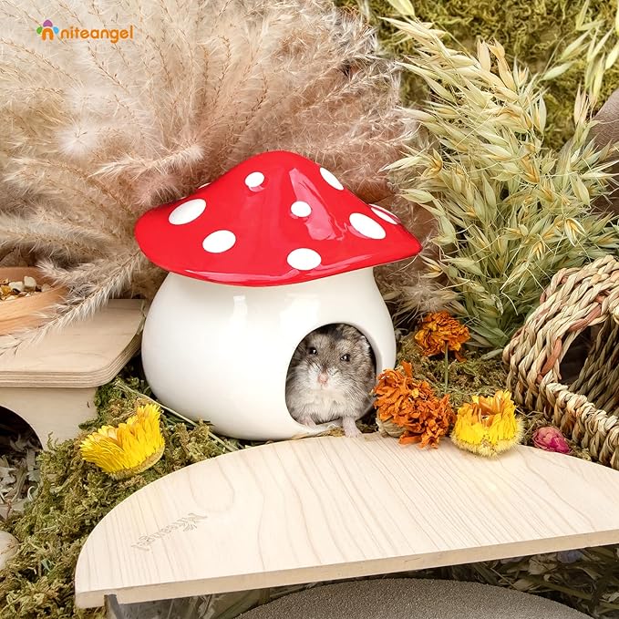 Niteangel Ceramic Hamster Habitat Hideout: - Hideaway House for Syrian Dwarf Hamster Mice Gerbils Lemmings or Other Similar-Sized Small Pet (Mushroom-Shaped)
