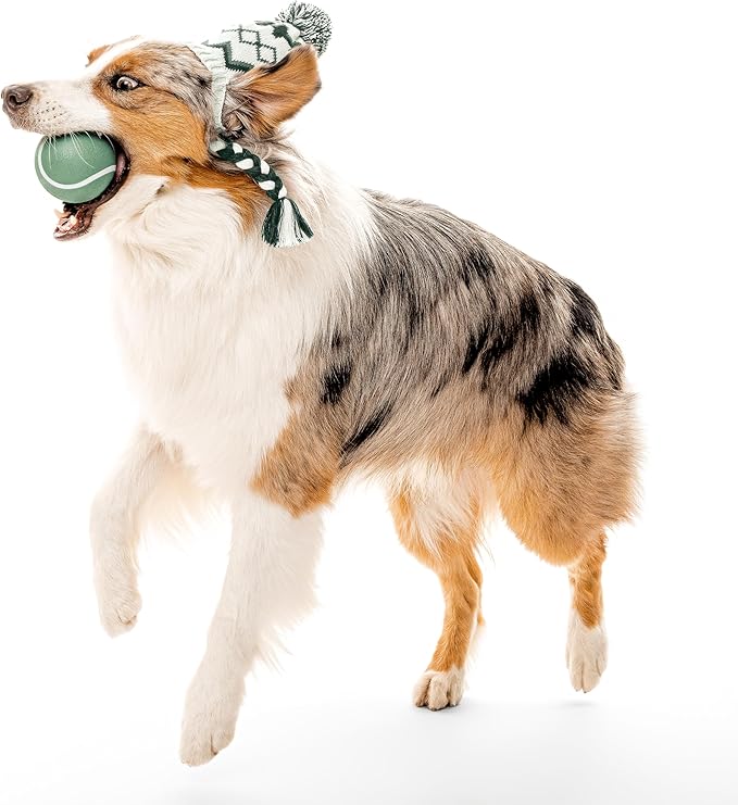 Playology Dog Toys | Squeaky Chew Ball - Bouncy Durable Floating Fetch Ball for Dogs | Jumbo Butternut Squash & Sage Scented Toy - Limited Edition Fall Collection | Made from Non Toxic Materials