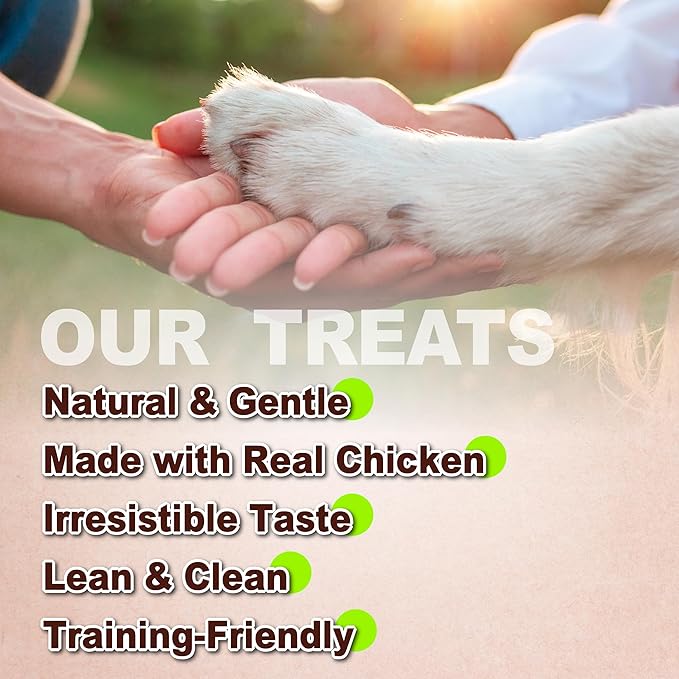 Afreschi Chicken Dog Treats, All Natural, Healthy & Easily Digestible, Grain-Free Puppy Chews, Low-Fat, Human Grade Training & Rewards Dog Snacks, Chicken Sticks, 24 oz Pack