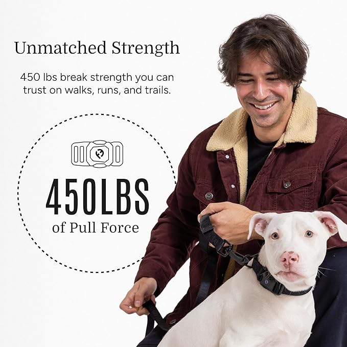 2025 New Edition, Fei & Eve MagEase Dog Collar - Patented Magnetic Buckles | Fur-Safe | Premium 210D Nylon | 450LB Escape-Proof | Adjustable Fit | Small (Black)