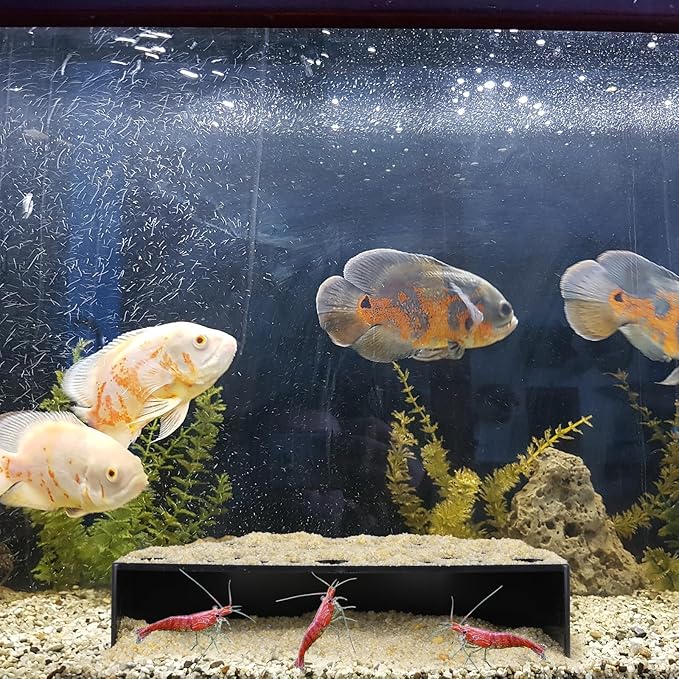 2 Pcs Shrimp Hides for Aquarium, Shrimp Breeding Caves Hideout Shelters for Protection, Small Fish Shrimps Tunnel House for Fish Tank Accessories Decor