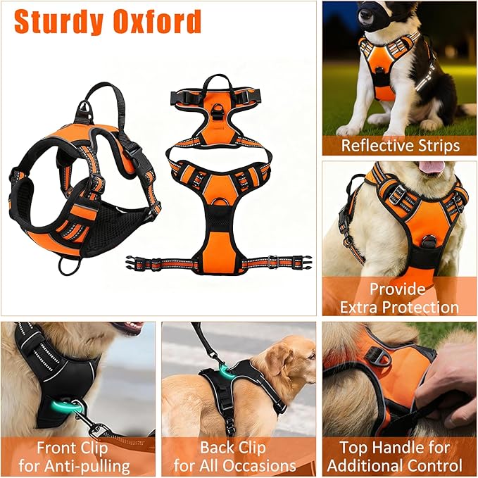 No Pull Dog Harness Adjustable Collar & Leash Set - Dog Halter Harnesses Collapsible Bowls & Poop Bag Dispenser Muzzle ID Tags Toys Fits Small Medium Large Dogs (Orange-M)