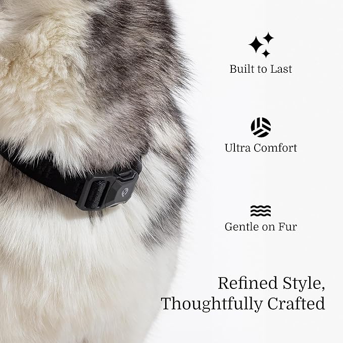 2025 New Edition, Fei & Eve MagEase Dog Collar - Patented Magnetic Buckles | Fur-Safe | Premium 210D Nylon | 450LB Escape-Proof | Adjustable Fit | Medium (Black)