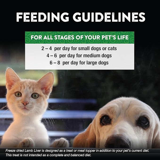 Northwest Naturals Raw Rewards Freeze-Dried Lamb Liver Treats for Dogs and Cats - Bite-Sized Pieces - Healthy, 1 Ingredient, Human Grade Pet Food, All Natural, Proudly Made in USA, 3 Oz