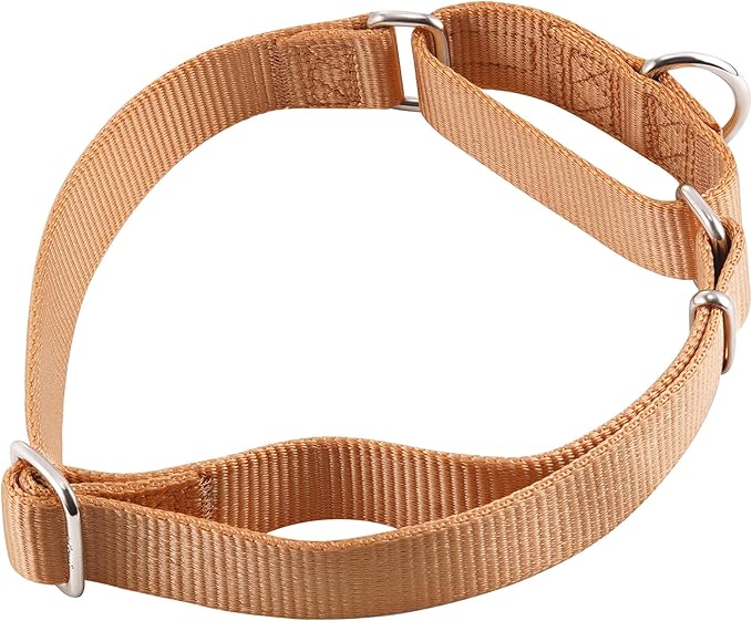 Hyhug Martingale Collar for Dogs Large Pink |Escape - Proof Heavy Duty Nylon Durable No Pull, Ideal for Training & Daily Walks