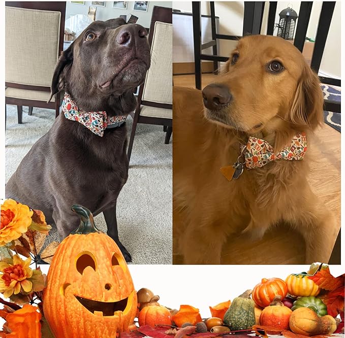 Unique Style Paws Dog Collar with Bow, Bowtie Dog Collar Adjustable Collars for Small Medium Large Dogs and Cats