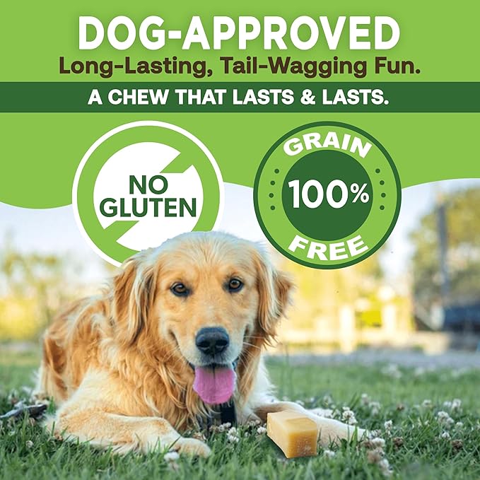 EcoKind Monster Himalayan Yak Cheese Dog Chew, XL Dogs Chews, Rawhide Free, Dog Chew Stick for Aggressive Chewers, Indoors Outdoor Use, Healthy Dogs Treats, Made in The Himalayas -XL Large (Pack of 2)