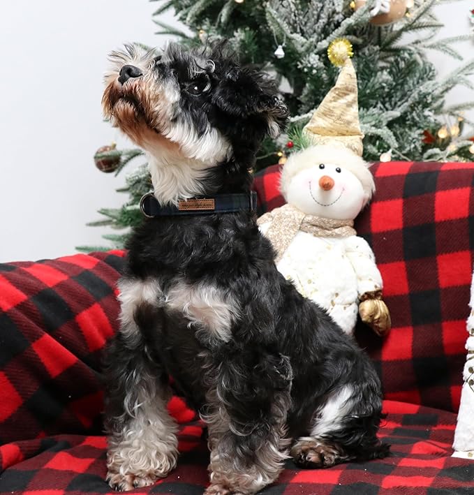 Unique style paws Dog Collar Metal Buckle Puppy Collar for Winter Christmas Green Plaid for Small Medium Large Boys Girls Dogs
