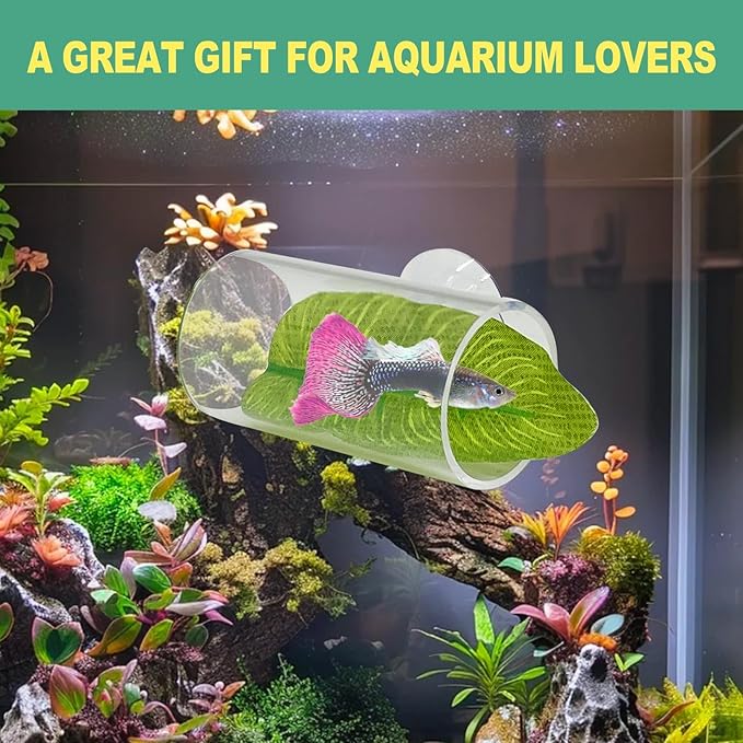 Hamiledyi 2 Pcs Betta Fish Acrylic Tube Tunnel Betta Fish Toys Betta Fish Tunnel Aquarium Hideouts for Rest Play Transparent Design for Better Observation of Fish Tank Decoration (Transparent)