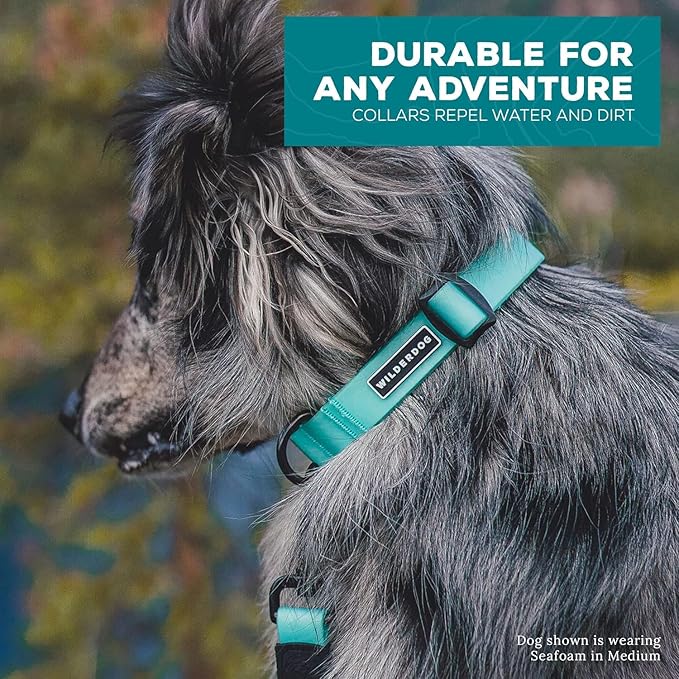 Wilderdog Waterproof Dog Collar - Repels Water & Dirt - Medium 13"-18" - Pacific Blue