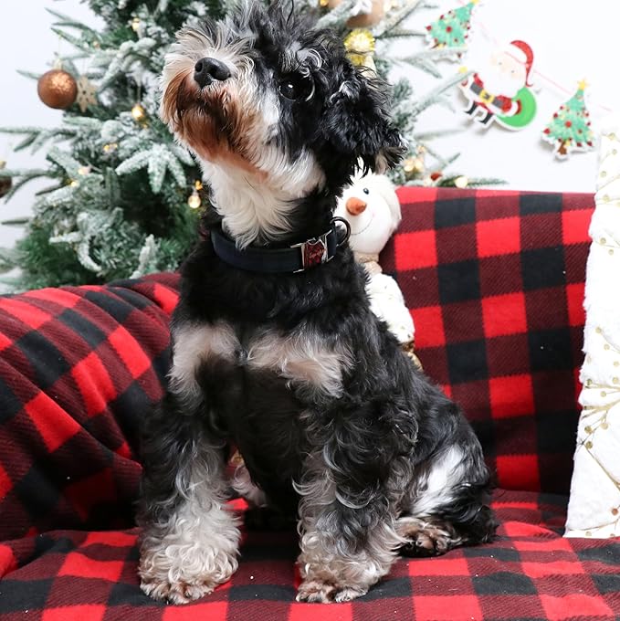 Unique style paws Dog Collar Metal Buckle Puppy Collar for Winter Christmas Green Plaid for Small Medium Large Boys Girls Dogs