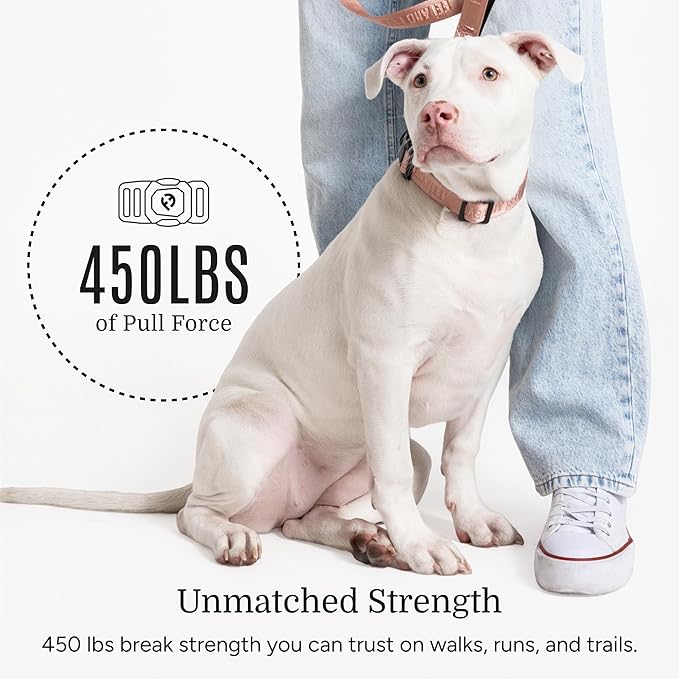 2025 New Edition, Fei & Eve MagEase Dog Collar - Patented Magnetic Buckles | Fur-Safe | Premium 210D Nylon | 450LB Escape-Proof | Adjustable Fit | Medium (Blush)