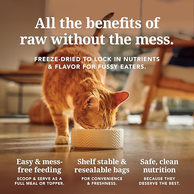 Feline Natural High Protein Dry Cat Food, Freeze-Dried Diet with 98% Meat, Organs & Seafood, No Peas, Grains, or Artificial Additives, Made in New Zealand, Chicken, 11oz