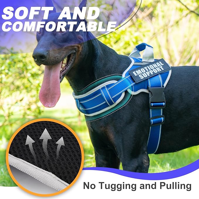 Neck Padded Service Dog Vest Harness and Leash Set, No Pull Adjustable Service Pet Harness with 8 Dog Patches, Reflective in Training Easy Control Pet Vest with 5ft Dog Leash for Medium & Large Dogs