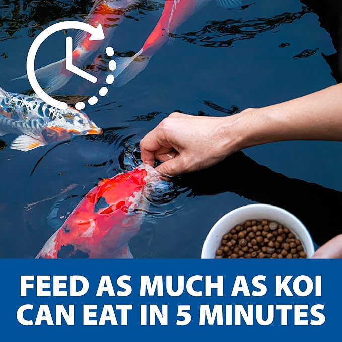 The Pond Guy Staple Fish Food for Backyard Koi & Goldfish, Choice Floating Pellets for Fish Wellness & Health, Smart Nutrition for Clean Ponds, 40 lbs