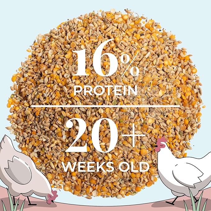 Mile Four Organic Chicken Feed – Layer Whole Grain, Non-GMO, USA Grown, 16% Protein, Corn-Free, Soy-Free, Non-Medicated Feed for Chickens, 23 lbs