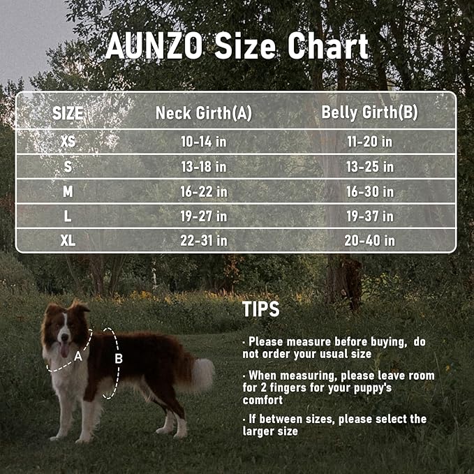 Dog Vest Harness for Medium Sized Dogs, No Pull Harness with 2 Metal Leash Clips, Easy On/Off with Neck Buckle, Adjustable Reflective Oxford Dog Vest with Easy Control Handle, French Bulldog