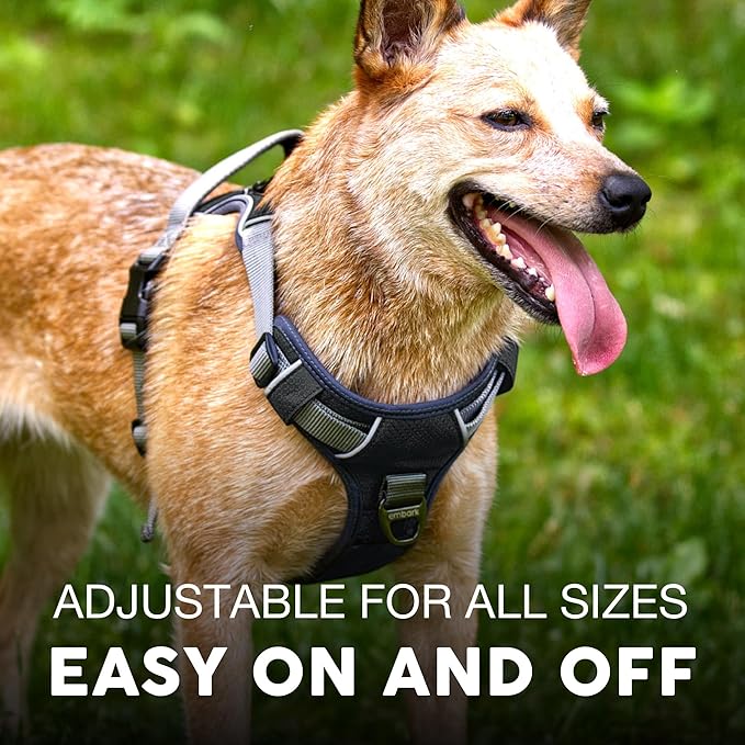 Embark Adventure Dog Harness, Reflective Trim No Pull Dog Harnesses for Small Sized Dogs - Military Grade Nylon, Front Clip with Gel Lined Handle. Soft & Padded Puppy Harnesses.