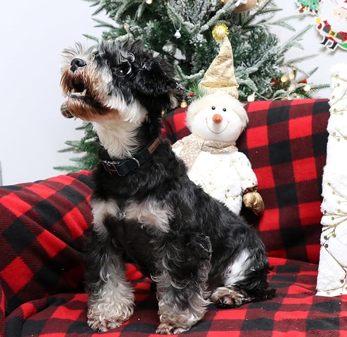 Unique style paws Dog Collar Metal Buckle Puppy Collar for Winter Christmas Green Plaid for Small Medium Large Boys Girls Dogs