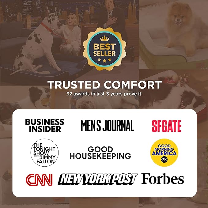 Bedsure Self Warming Orthopedic Dogs Bed for Small Dogs - Washable Small Dog Bed Waterproof, Comfort Pet Couch with Removable Cover, Pets Sofa with Nonskid Bottom, Brown, Non-Electric