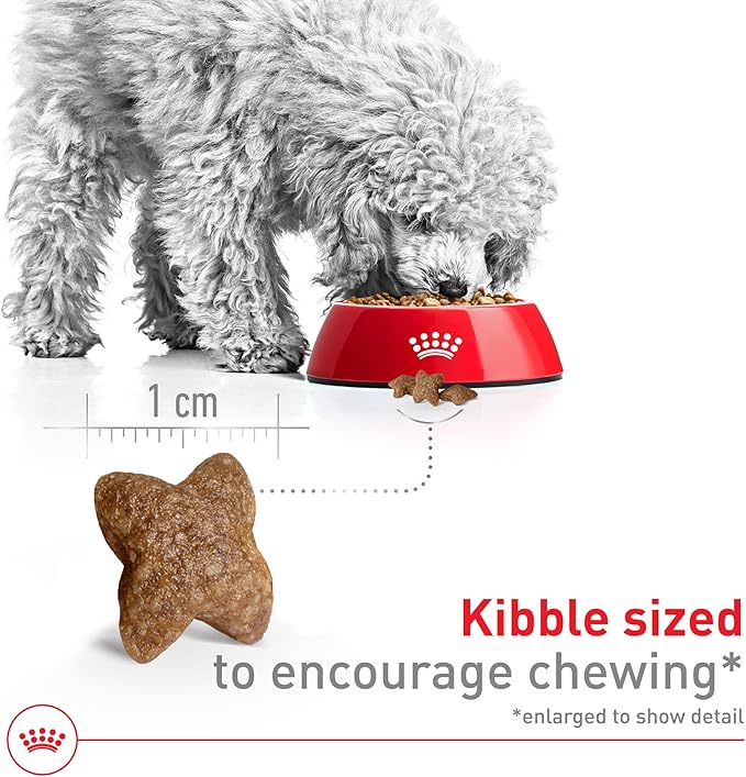 Royal Canin Size Health Nutrition Small Adult Dry Dog Food, 4 lb Bag