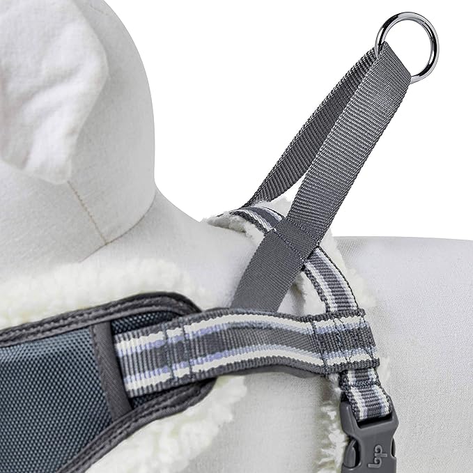 Blueberry Pet Soft & Comfy Multi-Colored Stripe Fleece Padded Chest Dog Harness, Chest Girth 16.5" - 21", Grey, Small, Adjustable No Pull Training Harness for Dogs