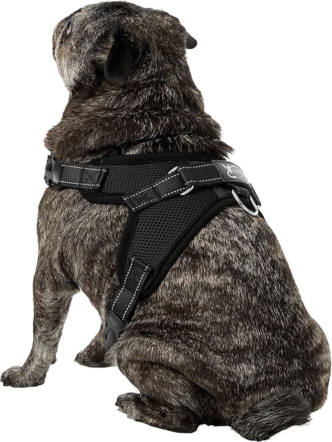 No Pull Reflective Adjustable Dog Harness With Handle- Comfortable Soft All Weather Mesh, Easy On Puppy Harness For Small Medium and Large Dogs (Black) Medium