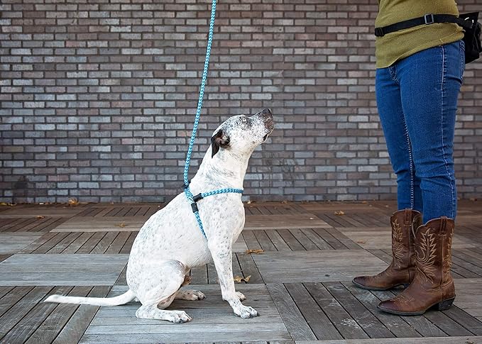 Harness Lead No Pull Dog Harness and Leash Set, Anti Pull Dog Harness for All Breeds and Sizes, One-Piece Cushioned Rope Design Safely Prevents Escaping and Pulling (Small/Medium, Blue/Multi)