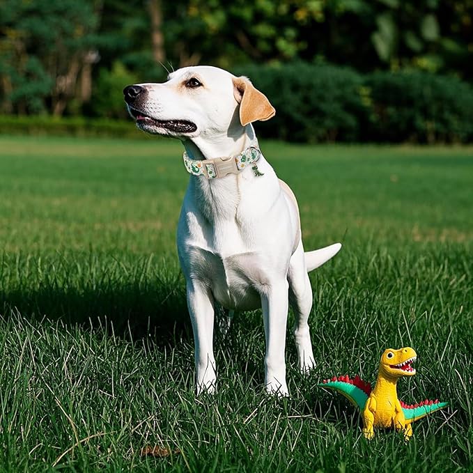 DOGWONG Dinosaur Dog Collar- Cute Summer Dog Collars Adjustable Designer Puppy Dinosaur Dog Collar for Boy Male Small Medium Large Dogs XS