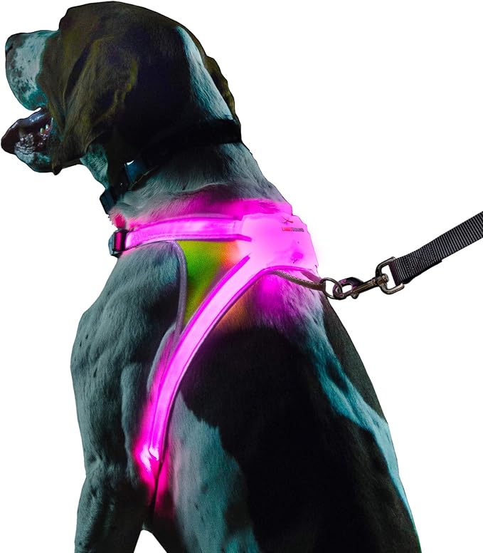Noxgear LightHound – Revolutionary Illuminated and Reflective Harness for Dogs Including Multicolored LED Fiber Optics (USB Rechargeable, Adjustable, Lightweight, Rainproof) (X-Large)