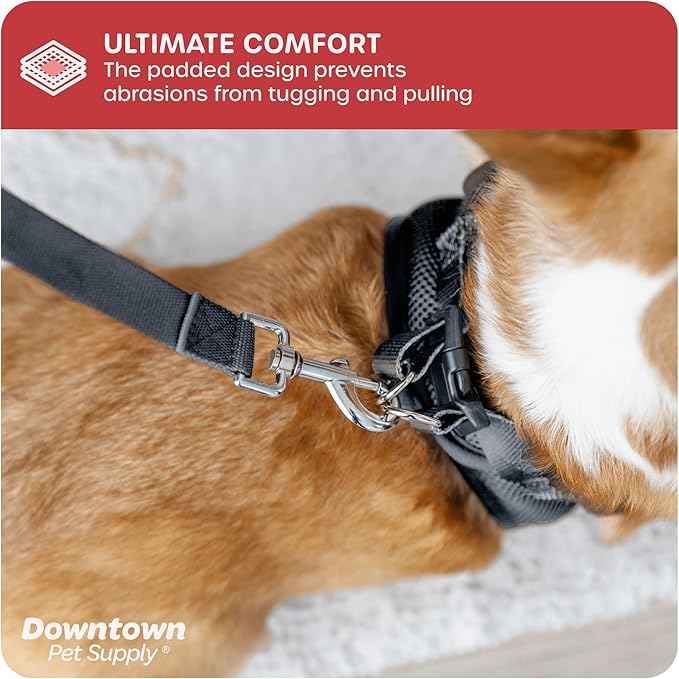 Downtown Pet Supply Step-in Dog Harness – No Pull, Adjustable Padded Mesh with Reflective Trim, Secure Buckle Strap – Comfortable & Breathable Small Dog Harness, XX-Small, Charcoal