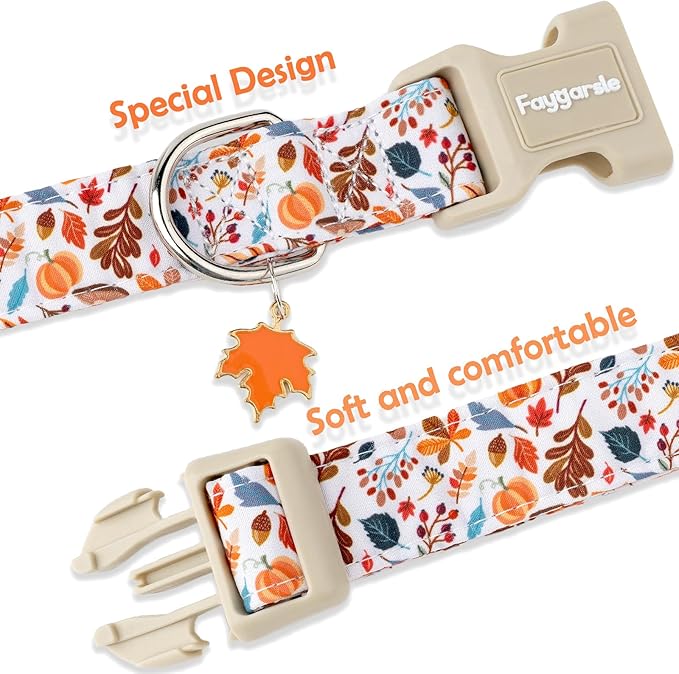 Faygarsle Fall Dog Collar, Autumn Floral Pattern with Maple Leaf Charm, White with Pumpkins and Leaves for Small Medium Large Dogs M