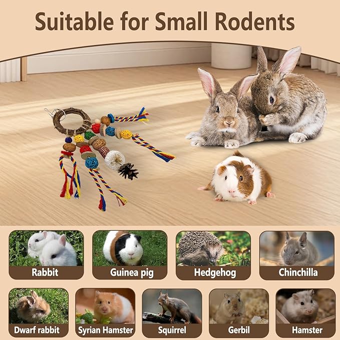 Bunny Chew Treat Toy for Teeth, Rabbit Cage Hanging Chew Toys and Rattan Ring with Snack,Natural Material Handwoven Chinchilla Treats Toys for Guinea Pig Gerbils Hamster Rat Teeth Grinding