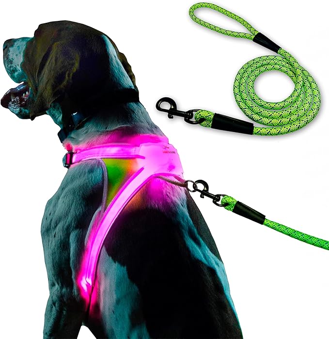Noxgear LightHound (Medium) + High-Visibility Dog Leash – Illuminated and Reflective Harness for Dogs Including Multicolored LED Fiber Optics (USB Rechargeable, Adjustable, Lightweight, Rainproof)