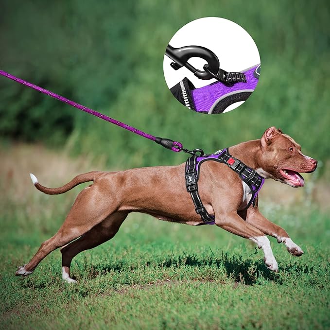 PoyPet Dog Harness and Leash Combo, Escape Proof No Pull Vest Harness, with 5 Feet Leash, Reflective Adjustable Soft Padded Pet Harness with Handle for Small to Large Dogs(Purple,L)