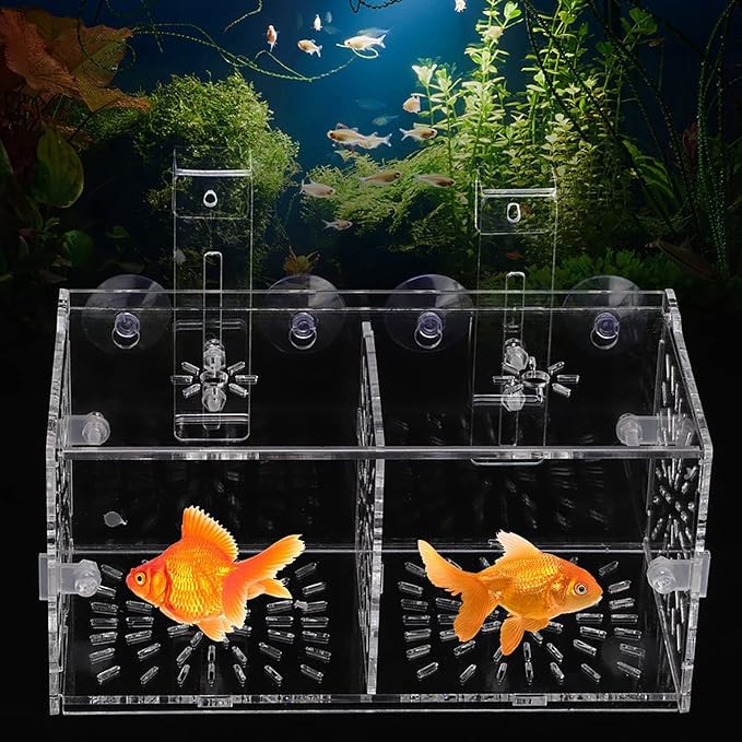 Fish Separation Box, Acrylic Transparent Fish Tank Breeding Isolation Box Aquarium Hatchery Incubator Holder(20CM*10CM*10CM)