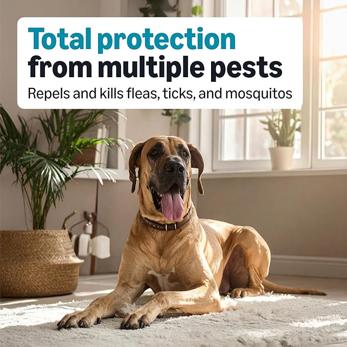 Amazon Basics PreventativeFlea, Tick & Mosquito Topical Treatment for X-Large Dogs (Over 55 pounds), 6 Count, Packaging May Vary
