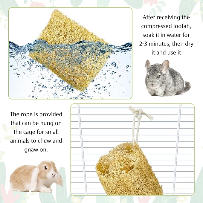 BNOSDM Bunny Chew Toys Natural Loofah 6PCS Bunny Teeth Grinding Toy Rabbit Fiber-Rich Treats Pet Entertainment Accessories for Rabbits Chinchillas Guinea Pig（L）