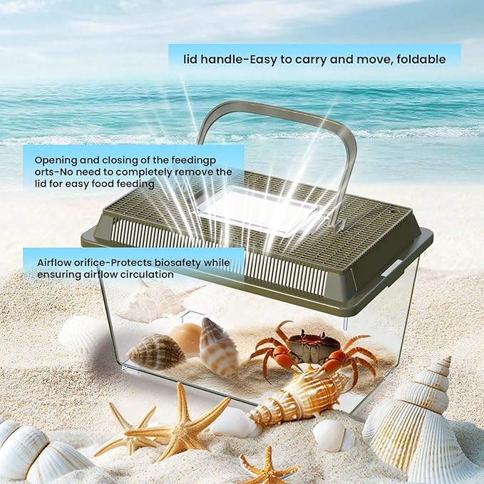 4Pcs Fish Tank Mini Aquarium with Ventilated Lids,Beach Vacation Essentials for Kids,Portable Fish Transport Container,Plastic Clear Fish Bucket (M)