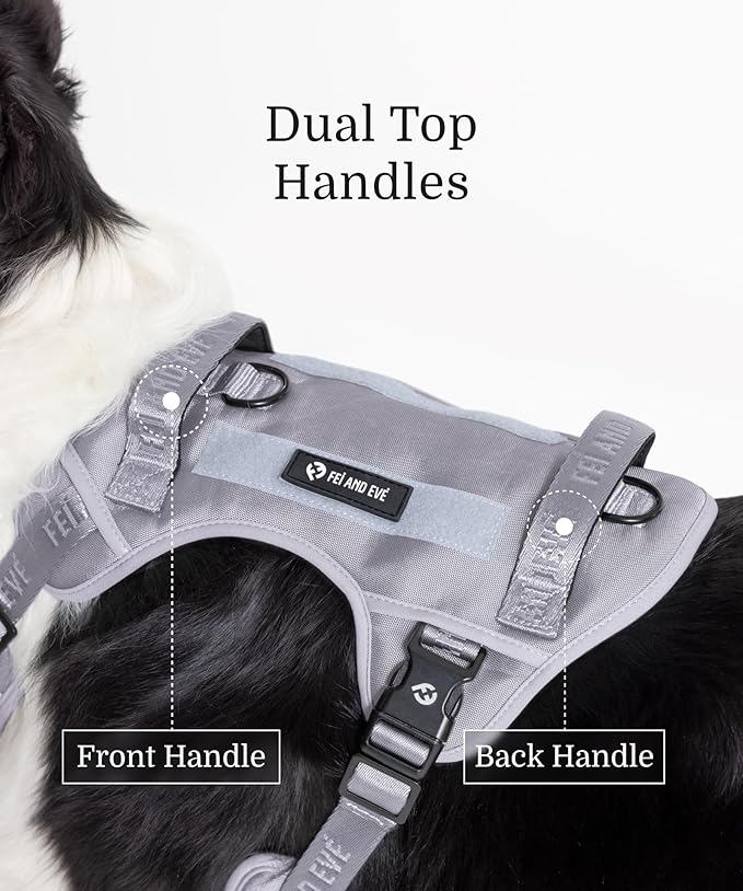 2025 New Edition, Fei & Eve Classic Dog Harness - Quick-Release Buckles | 3-Point No-Pull Control | Heavy-Duty 900D Nylon | Dual Safety Handles | Breathable Mesh | Adjustable Fit | Small,Gray
