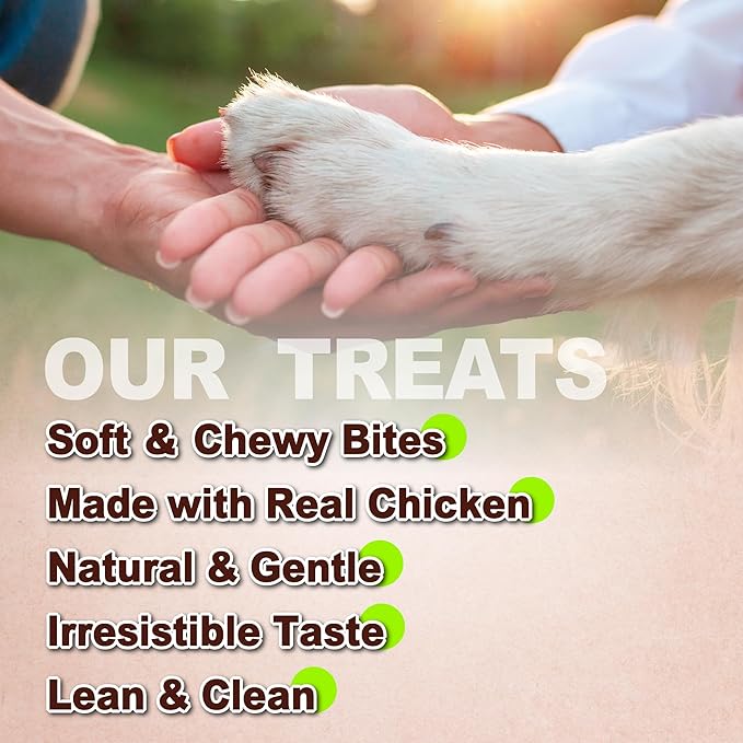 Afreschi Soft Chicken Dog Treats, All Natural, High-Protein, Healthy & Easily Digestible, Grain-Free Puppy Chews, Human Grade Training & Rewards Dog Snacks, Chicken Knots, 16 oz Pack
